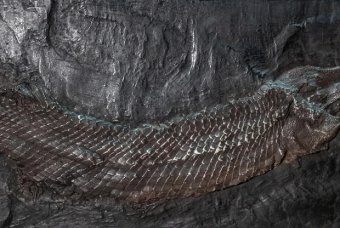 shutterstock 2476738235