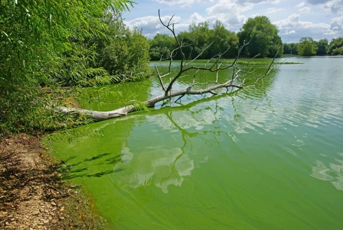 shutterstock 695352958