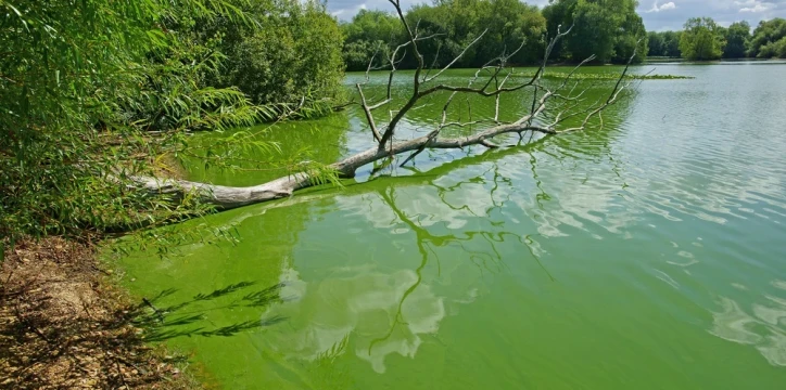 shutterstock 695352958